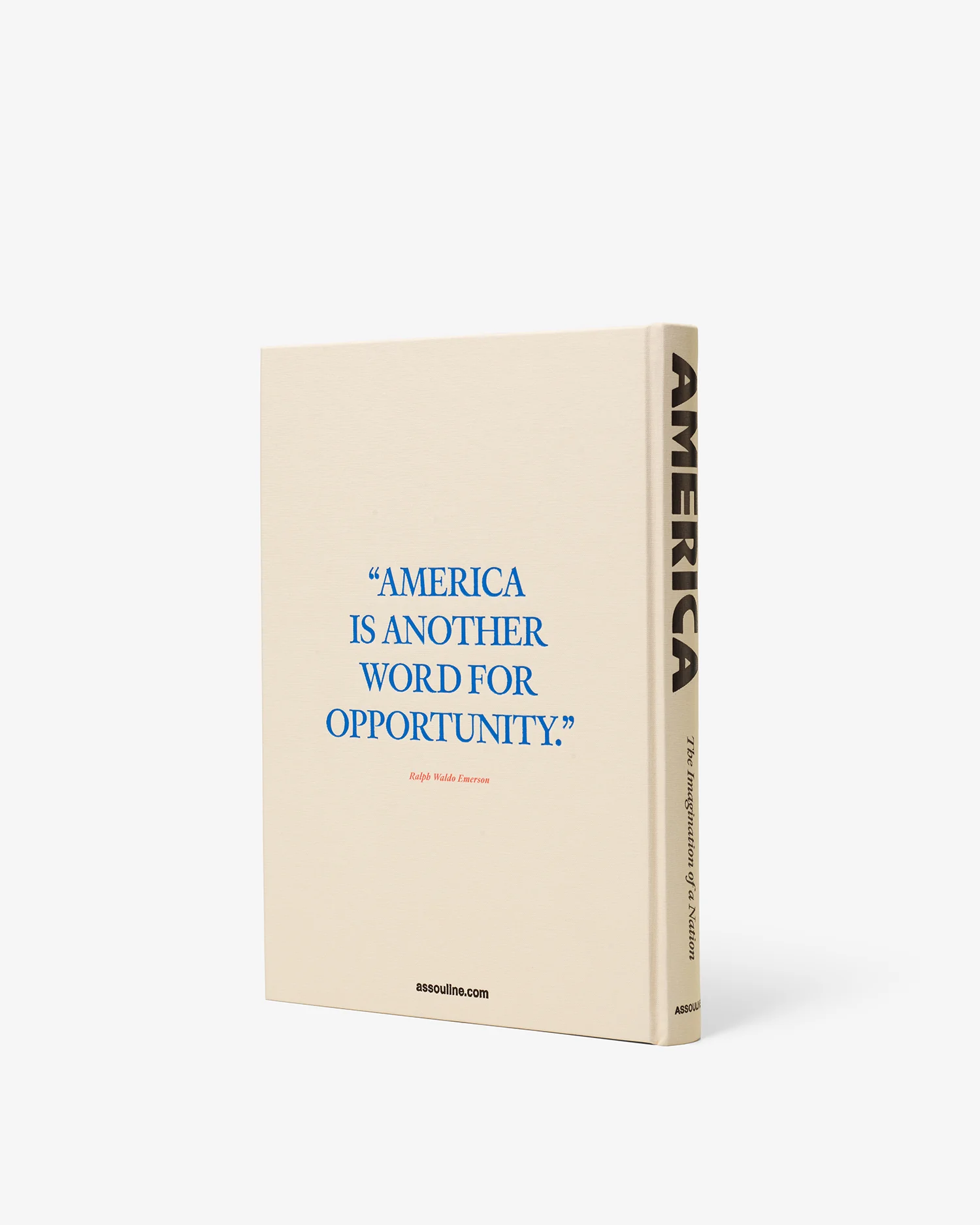 America: The Imagination of a Nation - Image 2