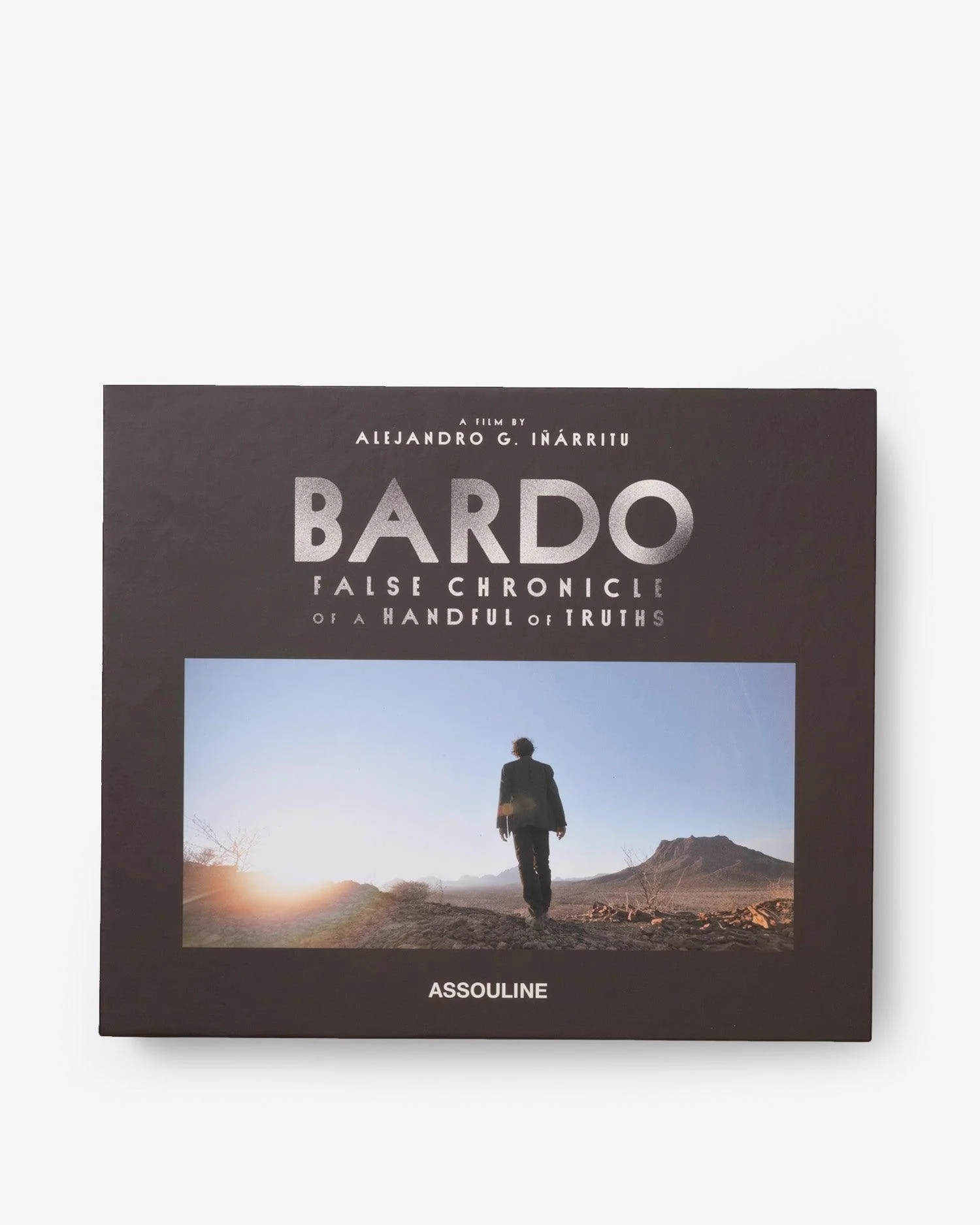 Bardo, False Chronicles of a Handful of Truths - Image 4