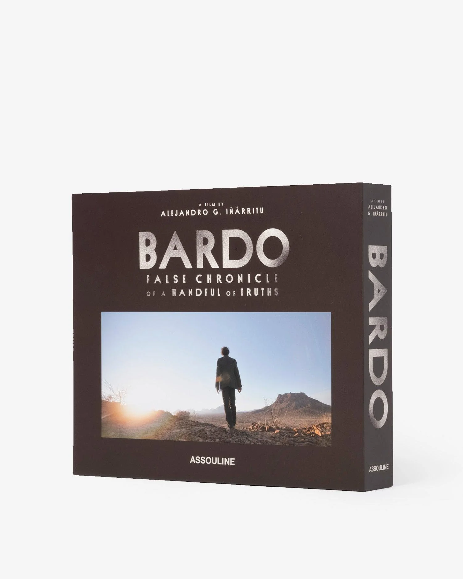 Bardo, False Chronicles of a Handful of Truths - Image 5