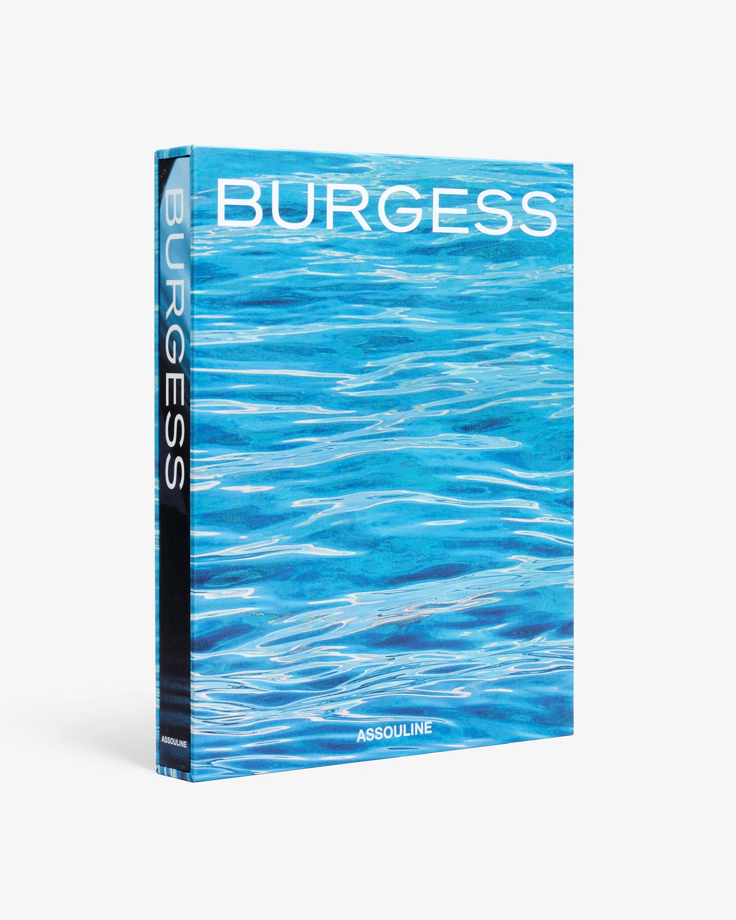 Burgess - Image 2