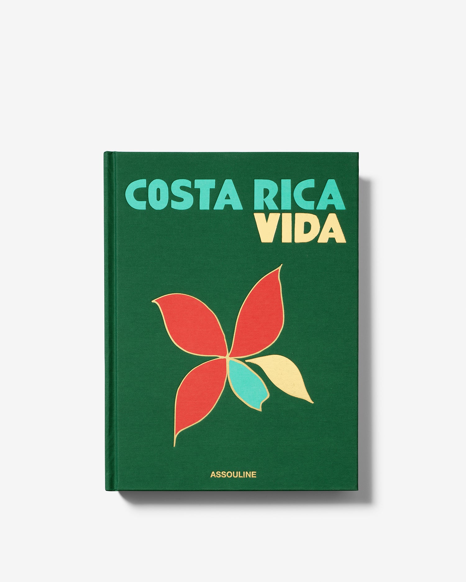 Costa Rica Vida - Image 3