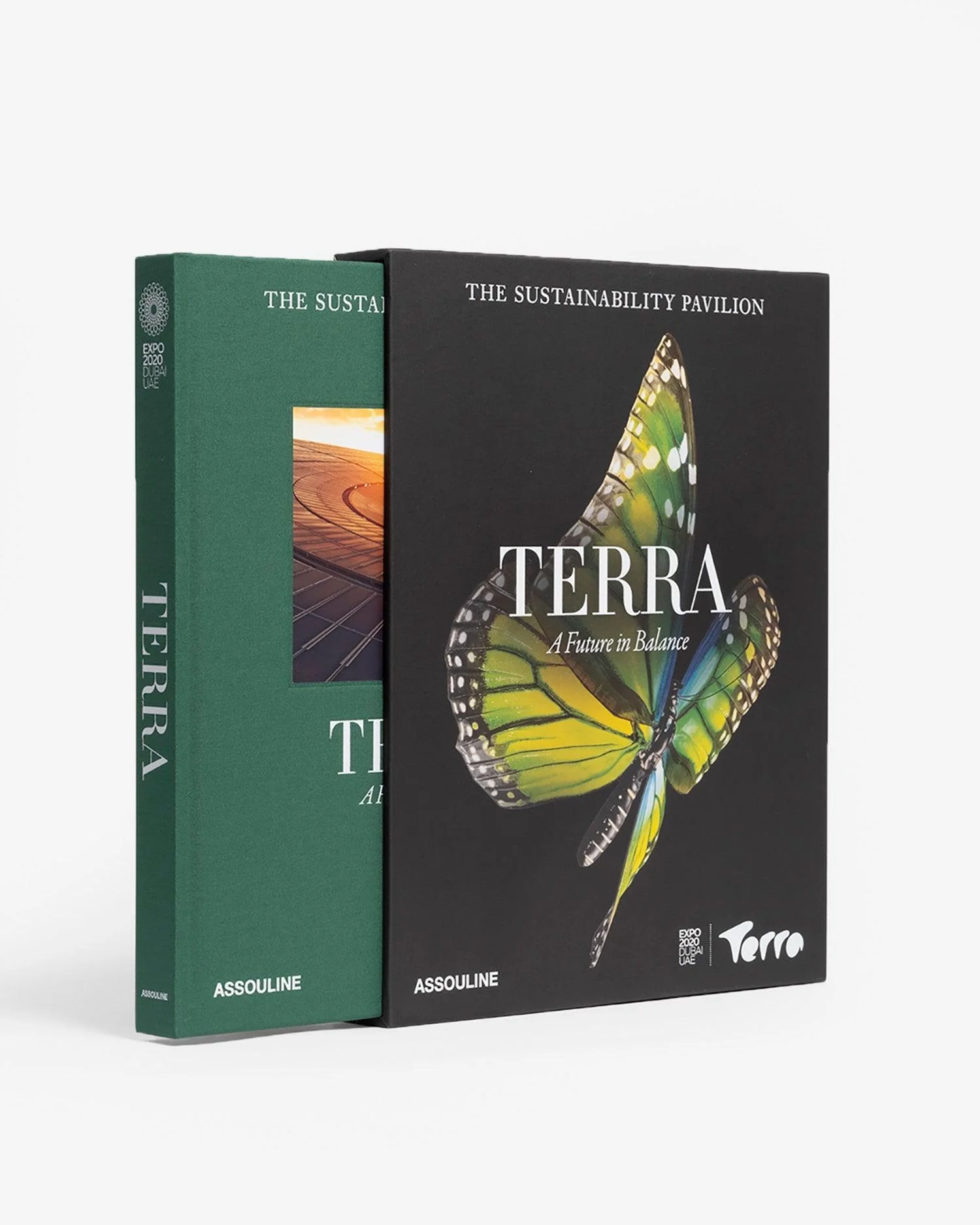 Expo 2020 Dubai: Terra-The Sustainability Pavilion - Image 2