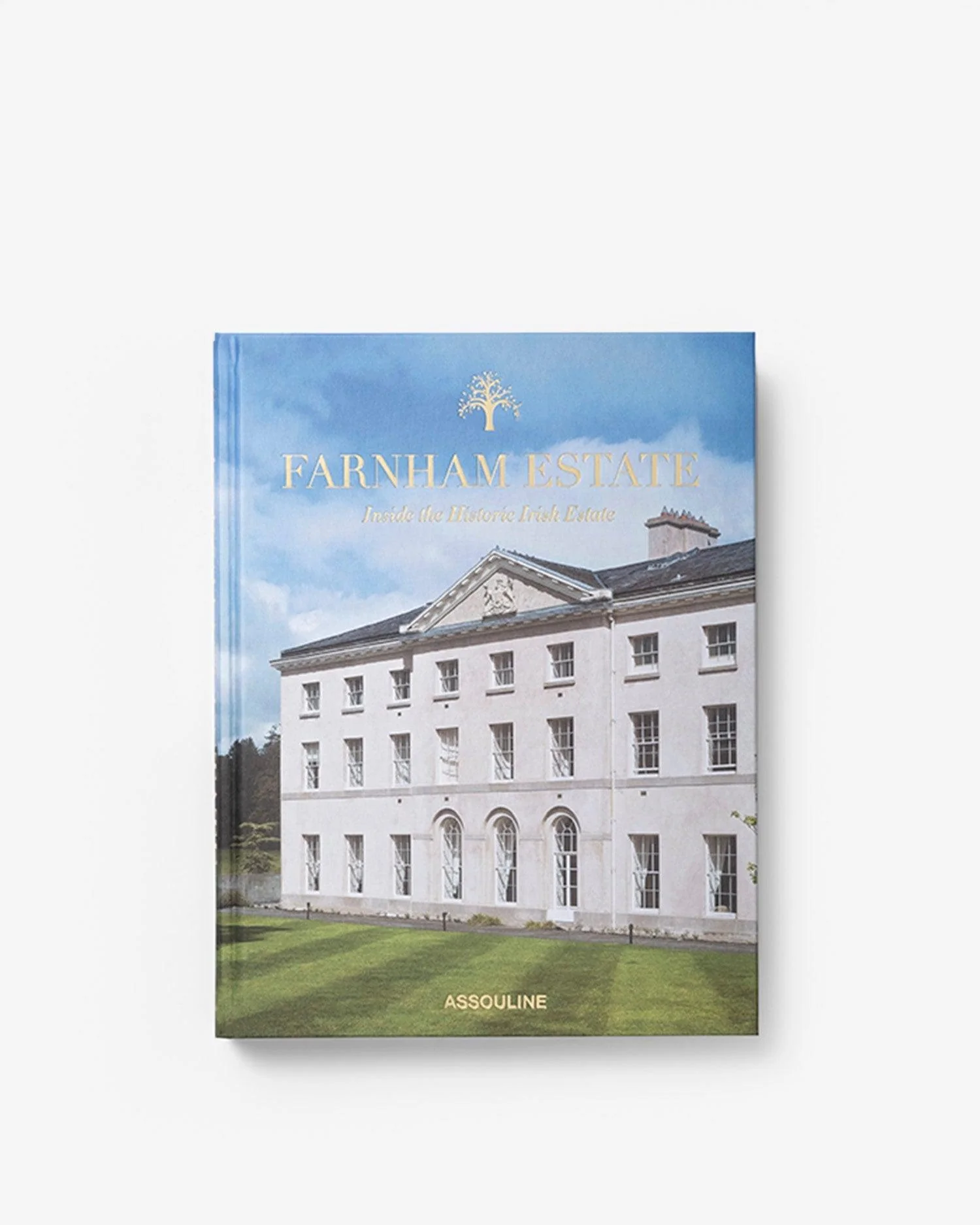 Farnham Estate: Inside the Historic Irish Estate - Image 3