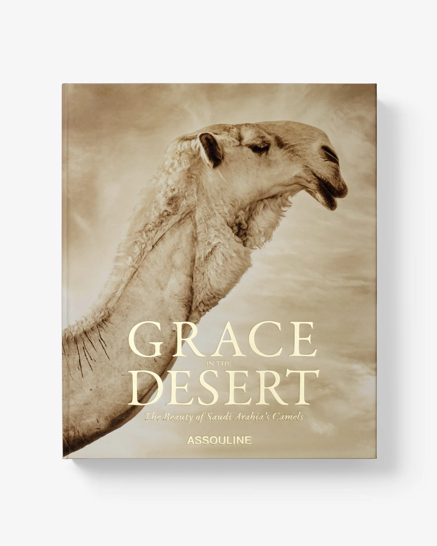 Grace in The Desert: The Beauty of Saudi Arabia's Camels - Image 3