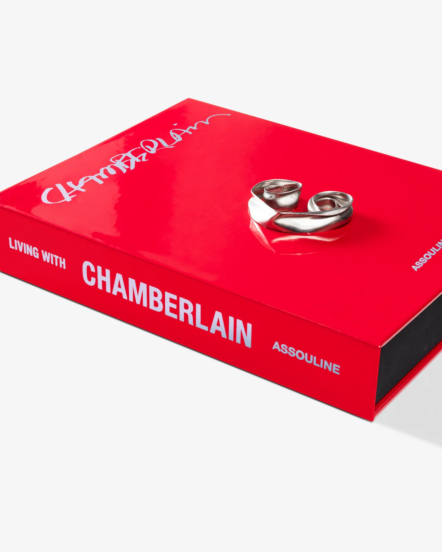 Living with Chamberlain, Art in Residence (Special Edition) - Image 5