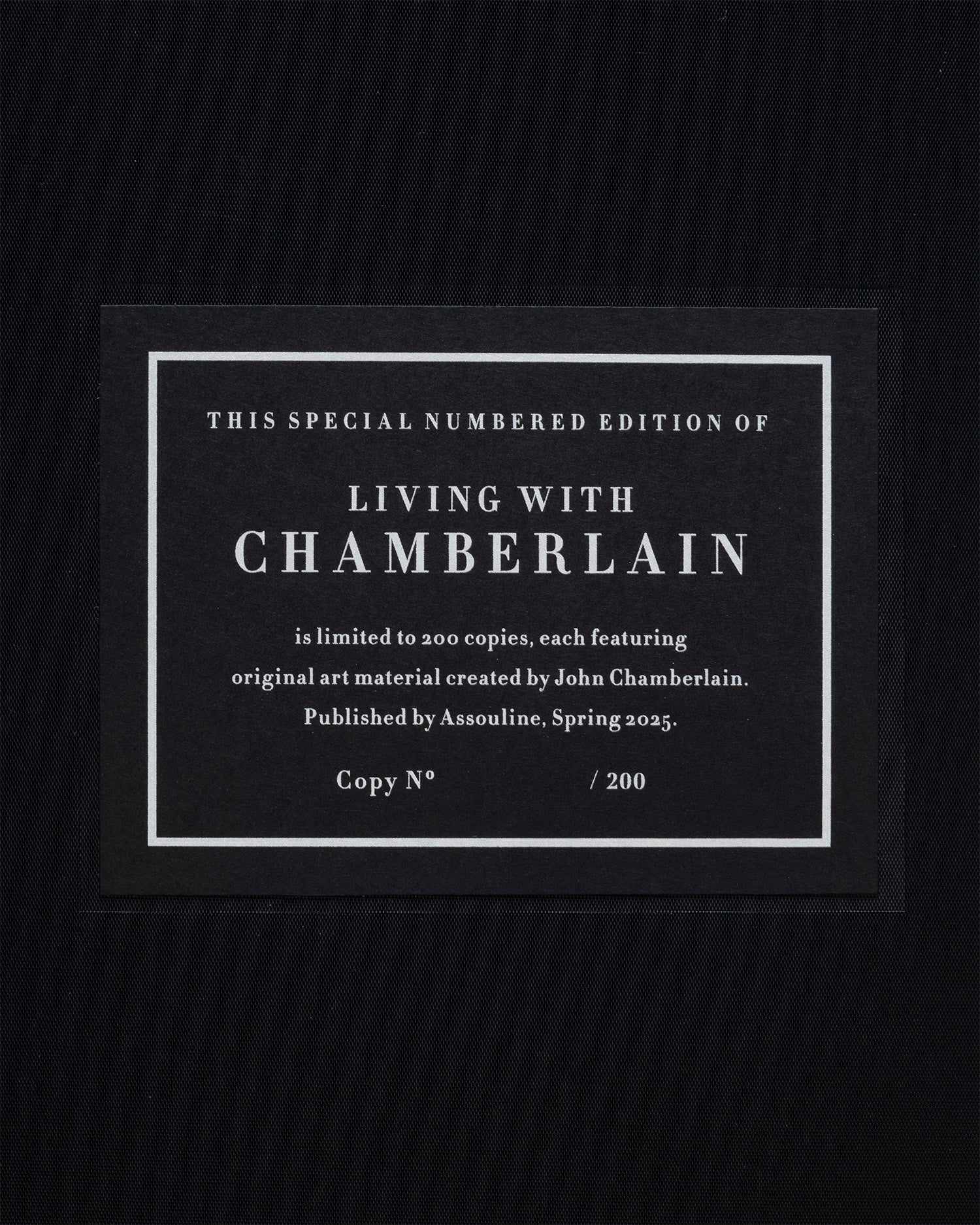Living with Chamberlain, Art in Residence (Special Edition) - Image 7
