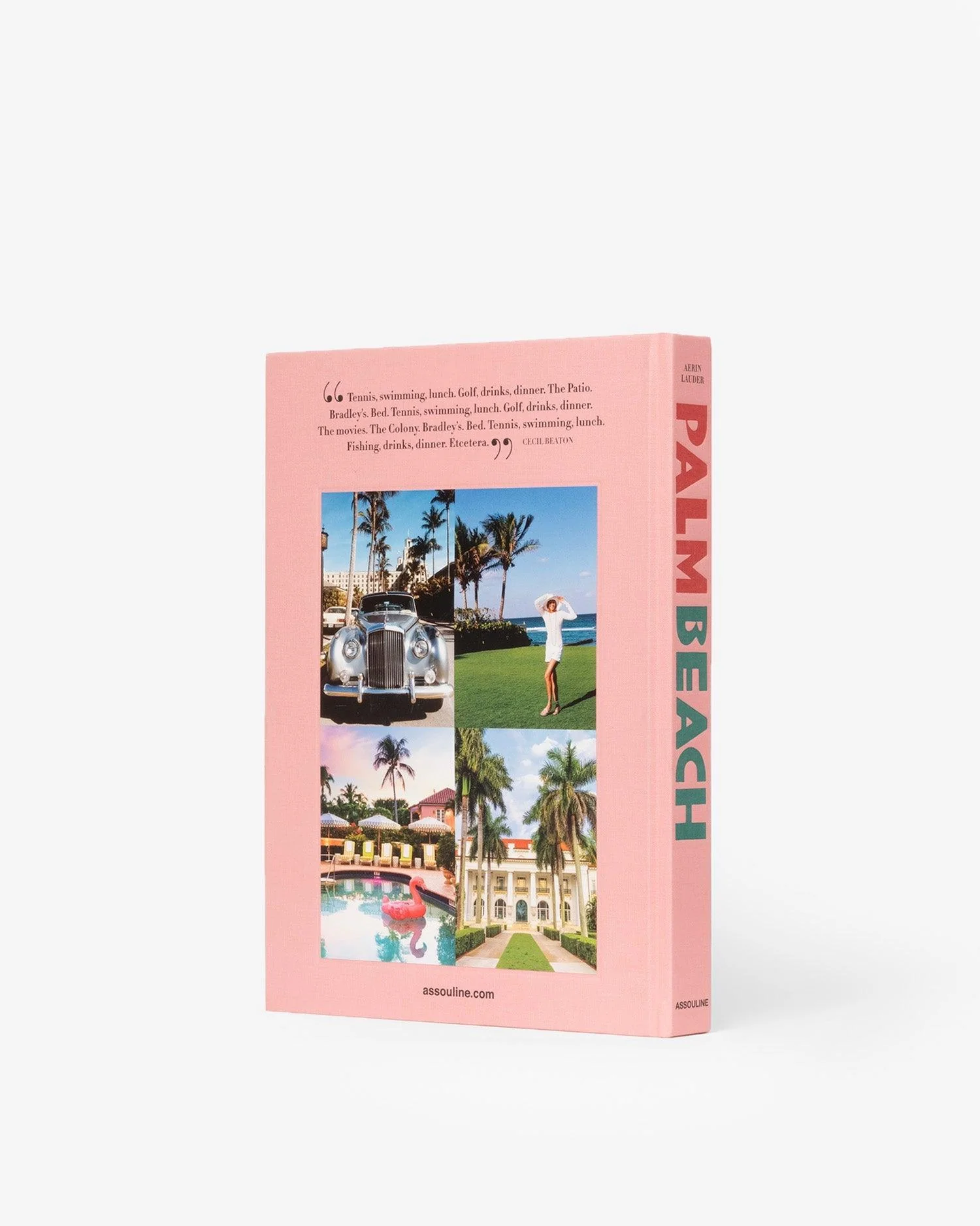 Palm Beach - Image 2