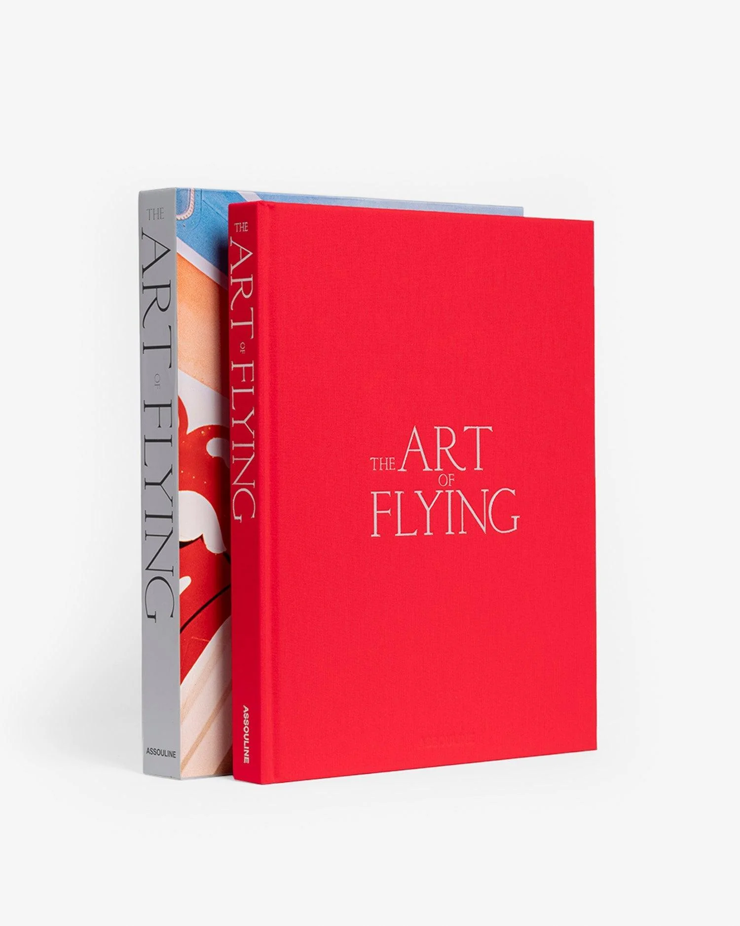 The Art of Flying - Image 3