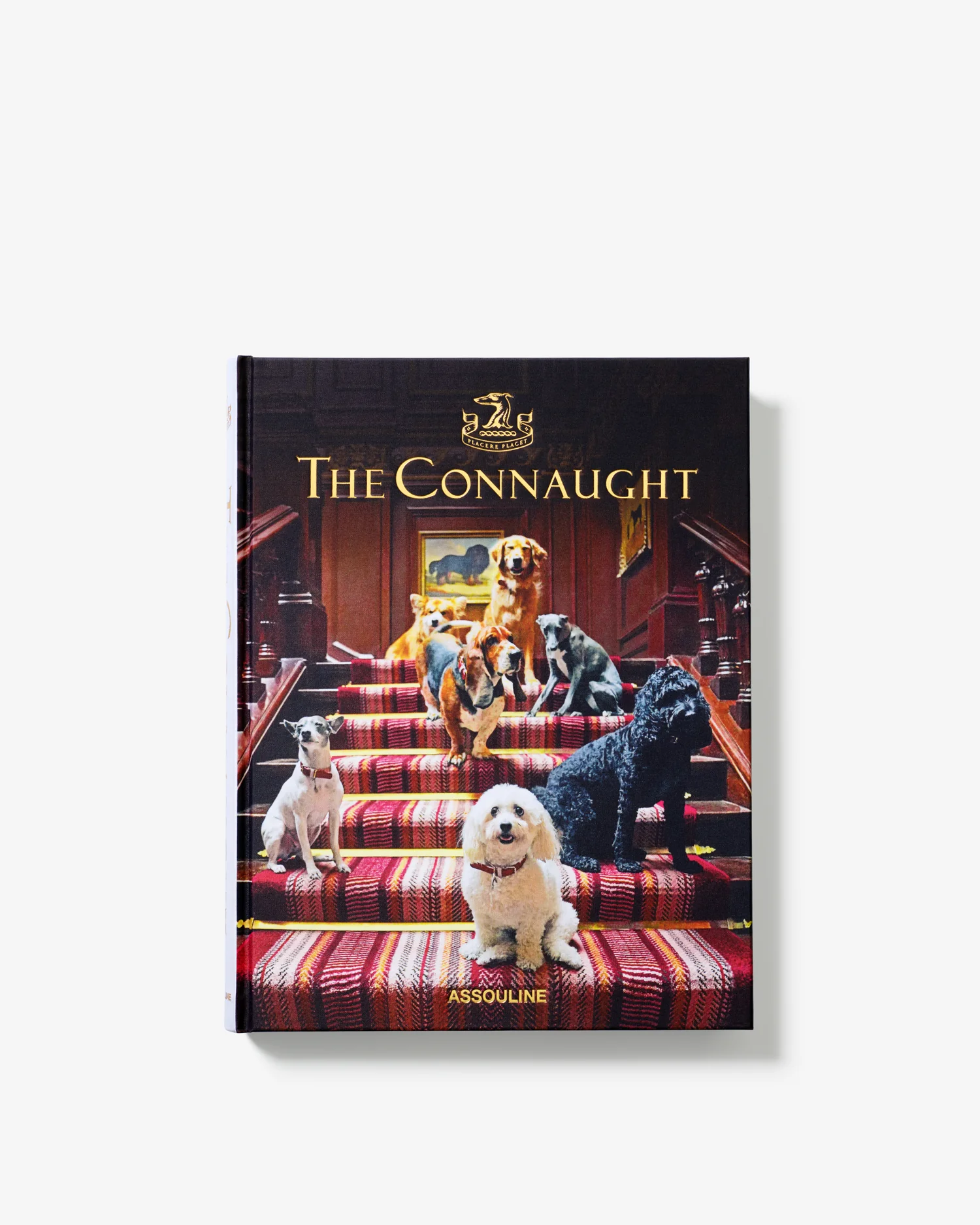 The Connaught - Image 3