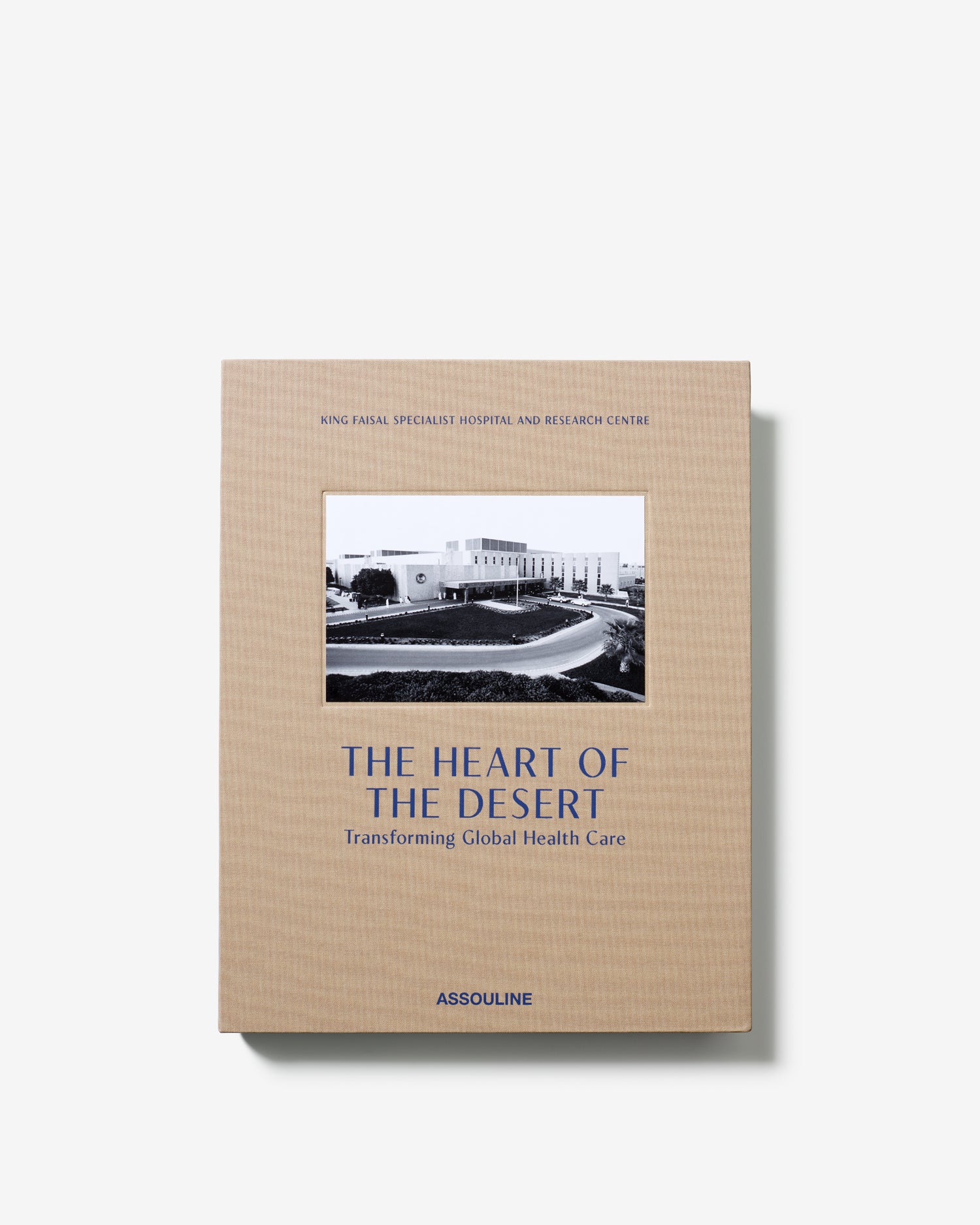 The Heart of the Desert: Transforming Global Healthcare - Image 5