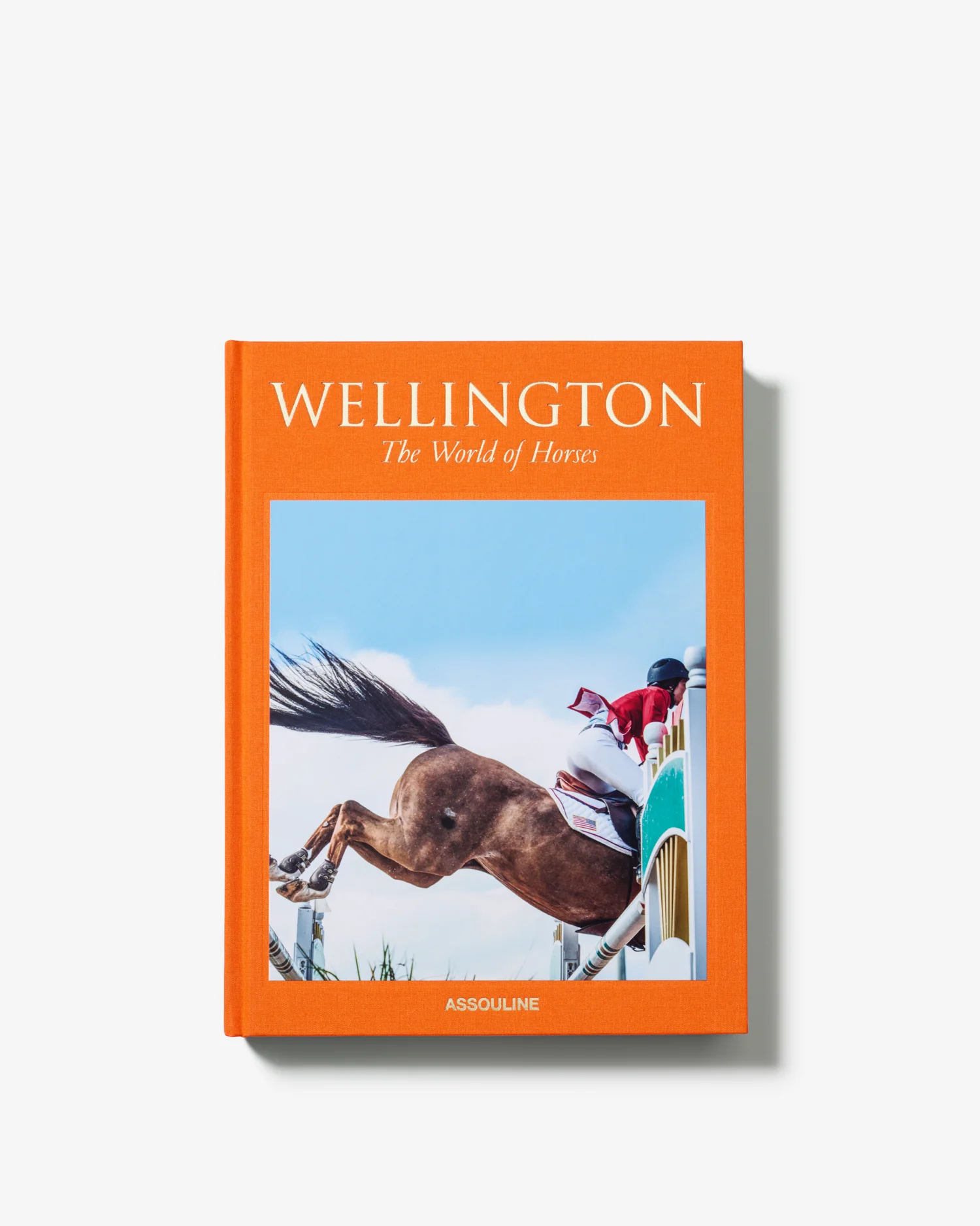 Wellington: The World of Horses - Image 3